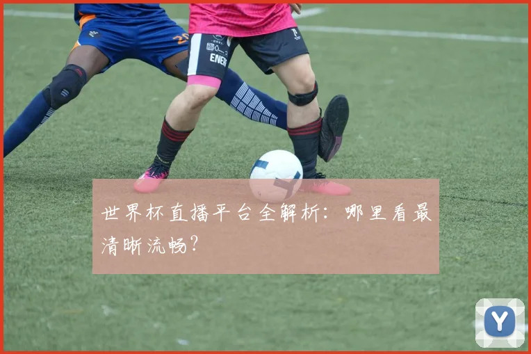 世界杯直播平台全解析：哪里看最清晰流畅？