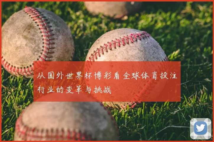 从国外世界杯博彩看全球体育投注行业的变革与挑战